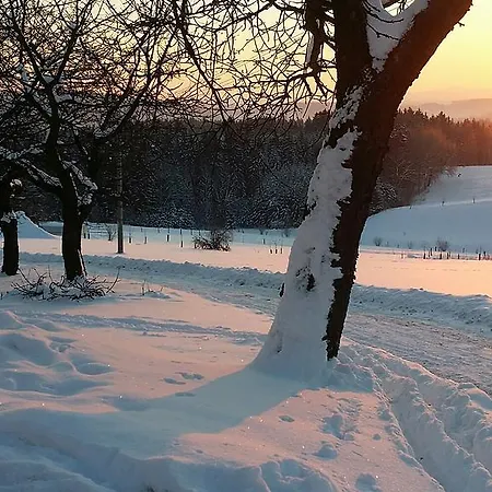 Mej Se Zdrave 아파트 Libnatov